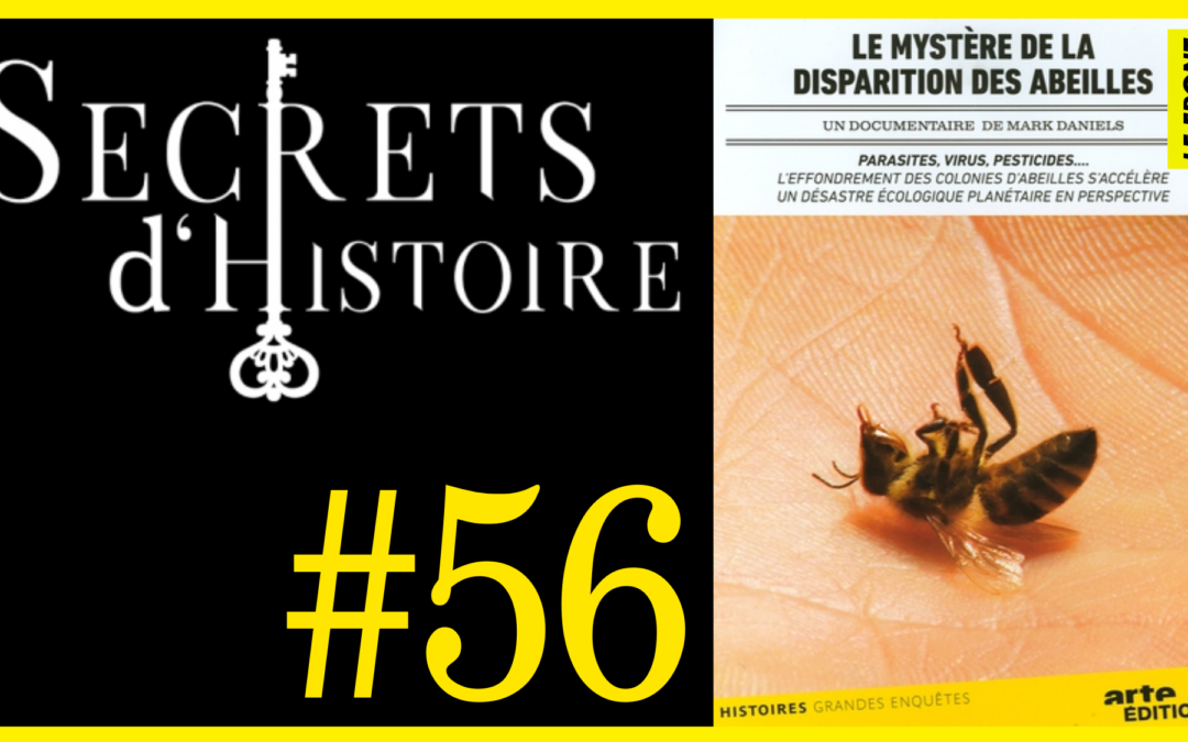 🗝 DOCU INCONTOURNABLE #56 🎥 Le Mystère de la disparition des abeilles 📆 2010 ⏱ 1h29min