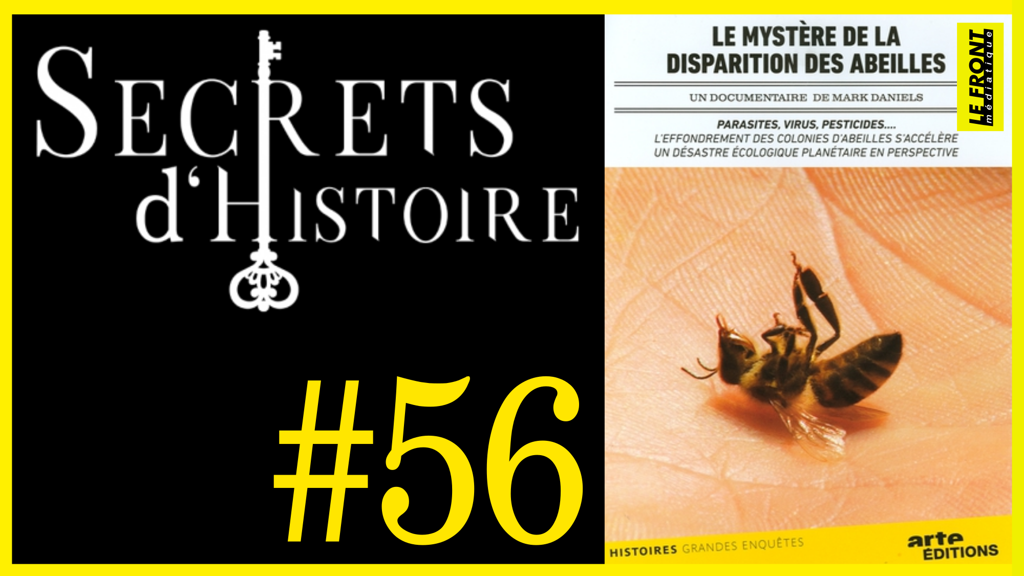 🗝 DOCU INCONTOURNABLE #56 🎥 Le Mystère de la disparition des abeilles 📆 2010 ⏱ 1h29min