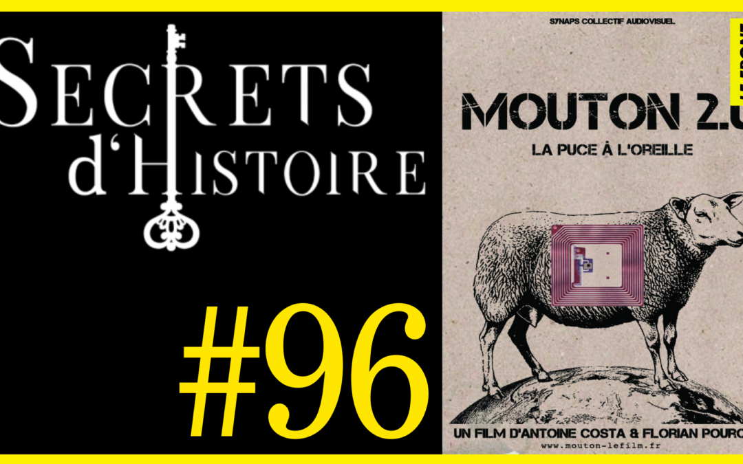 🗝 DOCU INCONTOURNABLE #96 🎥 Mouton 2.0 – La Puce à l’oreille 📆 2012 ⏱ 1h18min