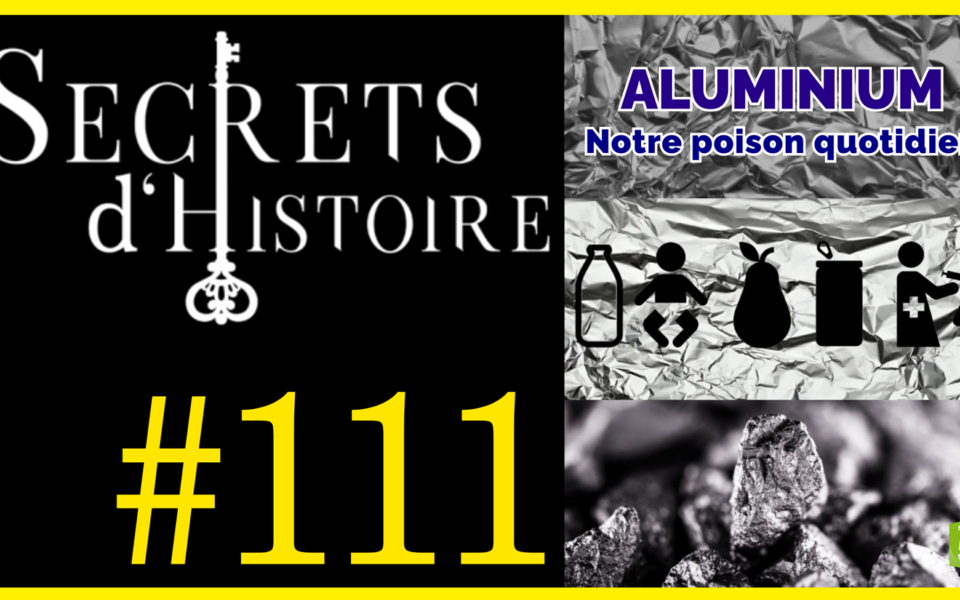 🗝 DOCU INCONTOURNABLE #111 🎥 Aluminium, notre poison quotidien 📆 2012 ⏱ 50min
