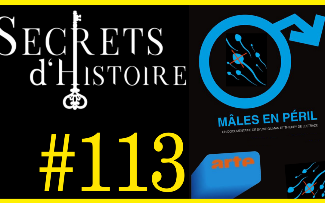 🗝 DOCU INCONTOURNABLE #113 🎥 Mâles en péril 📆 2007 ⏱ 52min