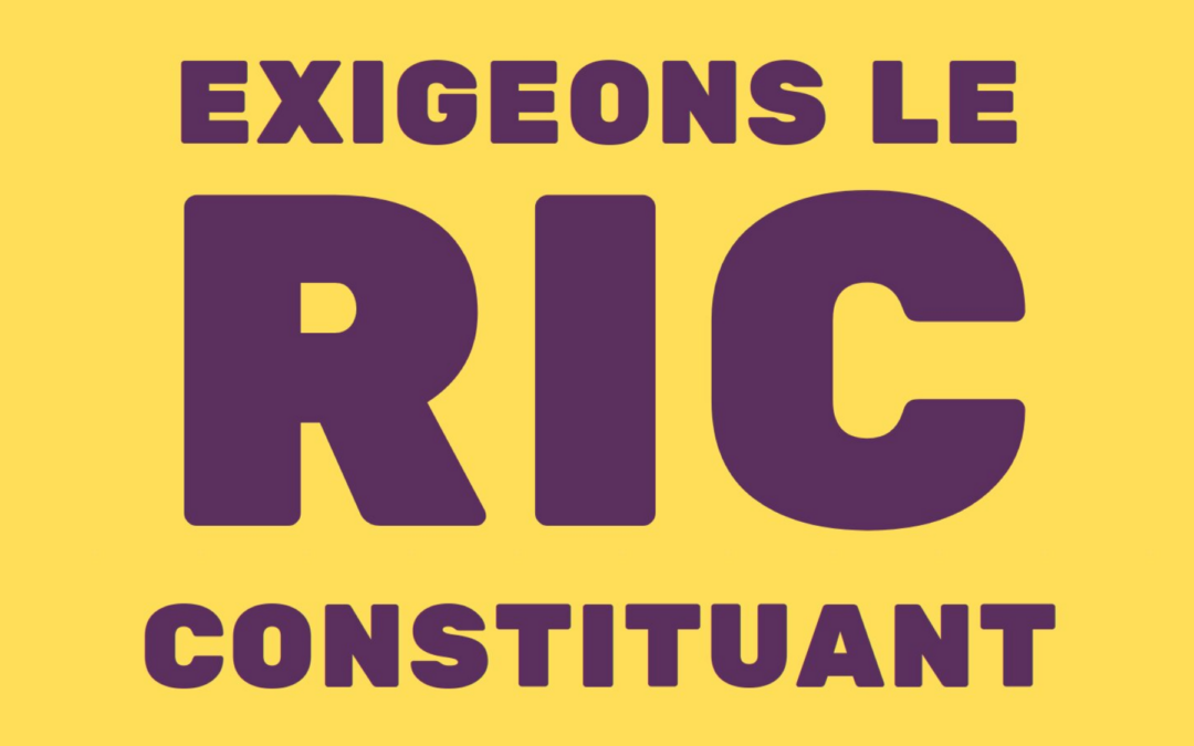 📣 GRANDE ACTION NATIONALE POUR LE RIC CONSTITUANT ⚠ Signez la pétition officielle pour exiger le RIC