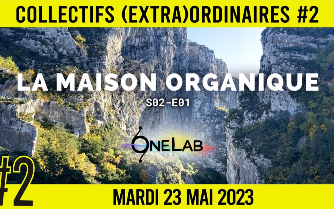 🧑 COLLECTIF (EXTRA)ORDINAIRE #2 📣 LA MAISON ORGANIQUE 🗣️ Sylvain 📆 23-05-2023